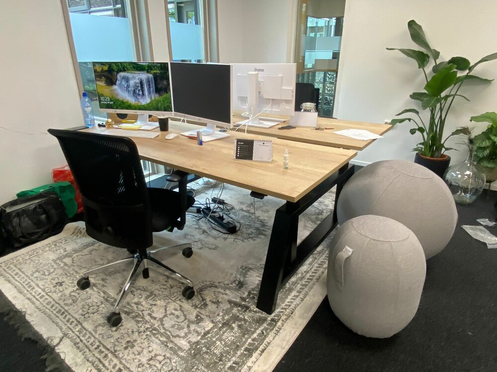 Office Ball Fabric | Chair ball