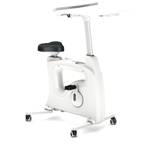 Flexispot Deskcise Pro V9 All-in-One Ergonomic Exercise Desk Bike