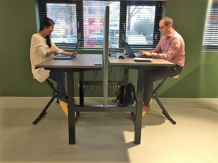Duo Standing Desk