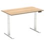 Updesk Pro | Worktrainer.nl