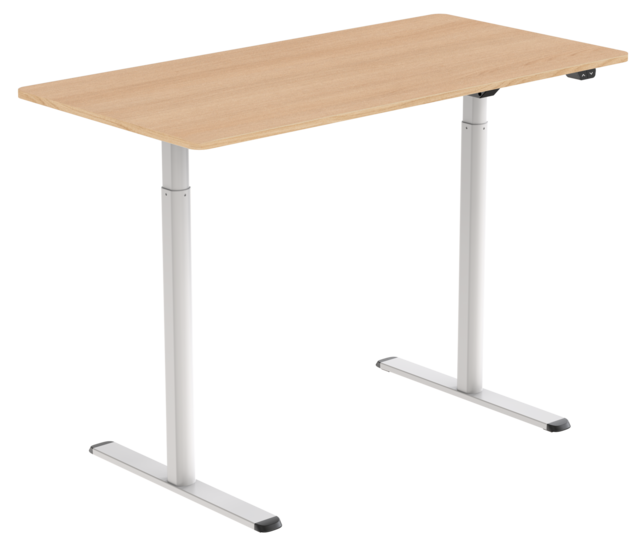 Budgetdesk | Electric Sit-Stand Desk
