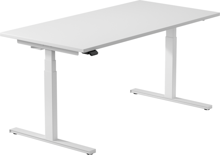 2nd chance Linak SmartDesk | Electric Sit-Stand Desk