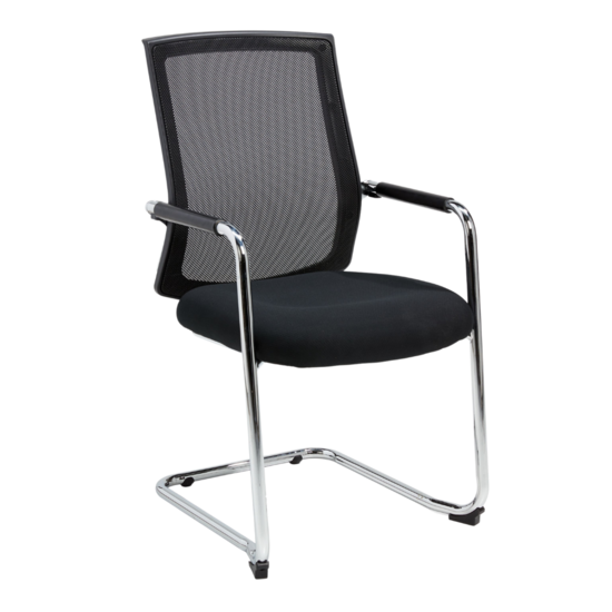 TERRA Meeting Chair