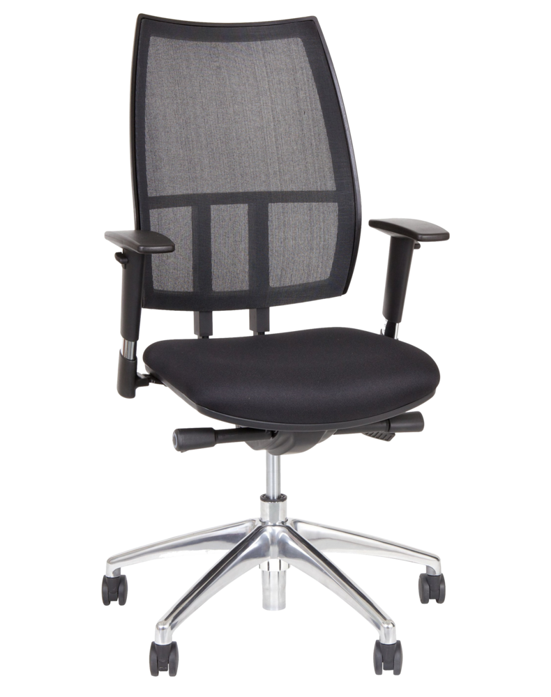 BV Dual Backrests Ergonomic Office Chair, Lumbar Support Office